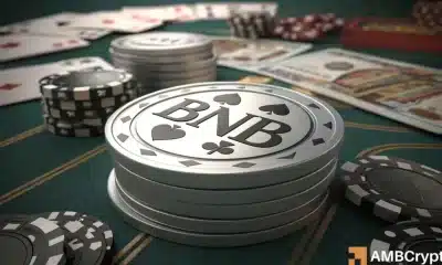 BNB: ¡El 85% de inmersión en la actividad del desarrollador podría significar problemas! - Análisis ...