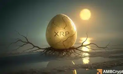 ¿El engranaje de XRP es una ruptura? - Estas métricas dicen que sí, solo si ...
