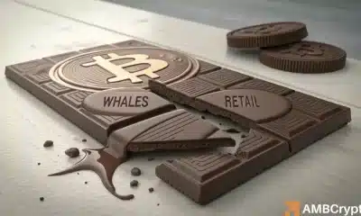 Los cambios de rally de Bitcoin: los compradores minoristas se hacen cargo cuando las ballenas se retiran, ¿por qué?