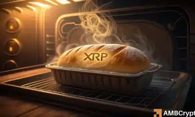 Decodificación de XRP's Rise: los LTH se mantienen apretados, ¡todos los ojos en este nivel de precios!