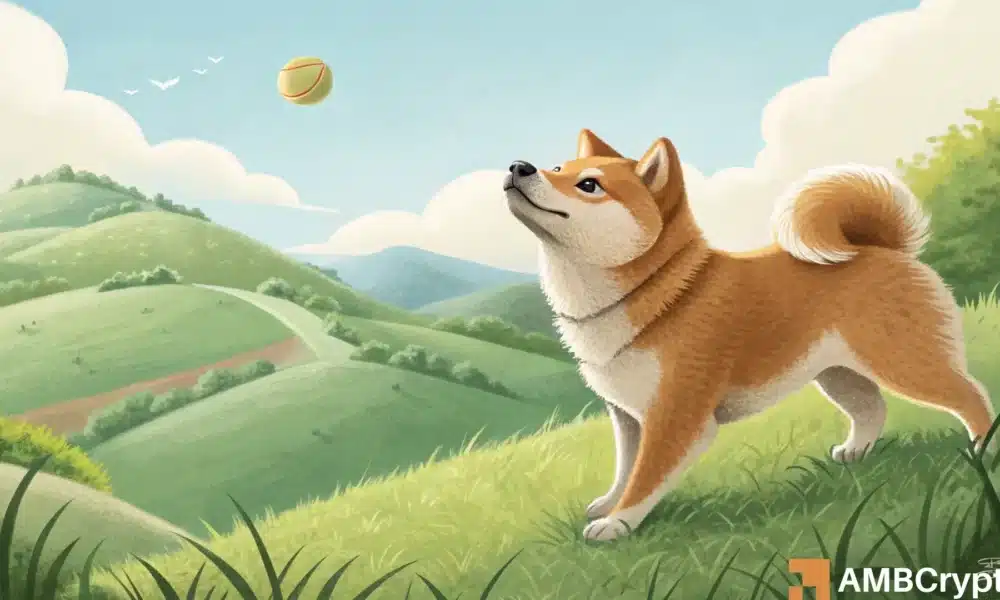 ¿Se atenúa Shibish's Bearish? ¡Esté atento a una posible inversión cerca de $ 0.0000114!