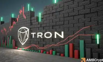 Tron Bulls debe defender este nivel de soporte para la recuperación, ¿pueden hacerlo?