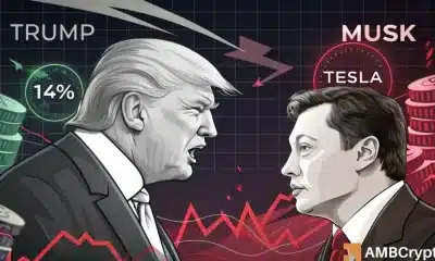 Diapositivas del mercado de Crypto Post Trump vs. Musk, pero Samson Mow tiene 'consejo de libertad'