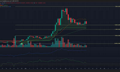 Gráfico de 1 día de Zebec Crypto de 1 día