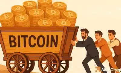 Los precios de Bitcoin caen: ¿la compra de $ 30B de frenesí mantendrá BTC?