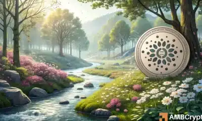 Cardano [ADA] Predicción de precios: 8% de rally a continuación, pero aquí es por qué debe tener cuidado.