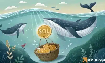 Solana Wallet Activity golpea ATH: ¿Puede la demanda de crecimiento ayudar a Sol alcanzar $ 184?