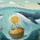 Solana Wallet Activity golpea ATH: ¿Puede la demanda de crecimiento ayudar a Sol alcanzar $ 184?