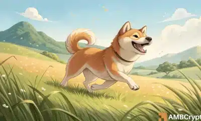 Bonk Crypto presionado por una fuerte demanda: ¿es un movimiento más allá de $ 0.000025 siguiente?