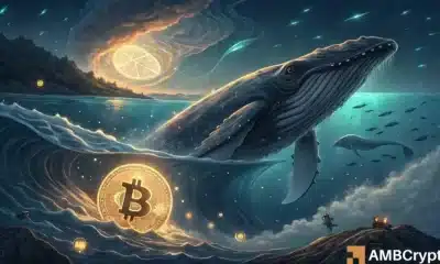 ¿Bitcoin Jesús ha vuelto? ¡$ 8.6 mil millones de transferencias de ballenas nuevas teorías!