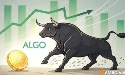 Algorand Skyrockets 33%! Pero, ¿por qué los comerciantes siguen apostando contra Algo?