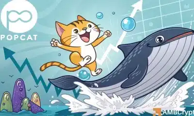 Popcat's $ 100 MLN Volume Spike and Whale Buy-Up: ¿$ 0.45 está cerca?