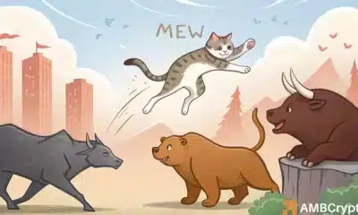 gato en un mundo de perros [MEW] Riesgo de retroceso: todo lo que necesita saber