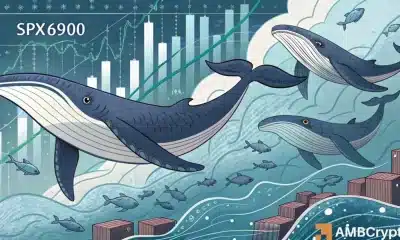 SPX se reúne en las compras de ballenas 935k, pero ¿el mercado ya está aquí?