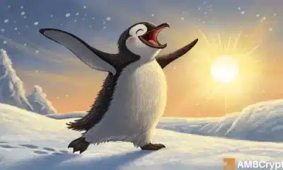 Pengum Crypto salta 50% - Comerciantes, ¡aquí está el verdadero apoyo que debes ver!