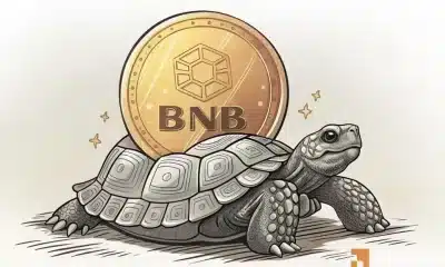 BNB rompe $ 700, pero los toros todavía dudan, ¡aquí está por qué!