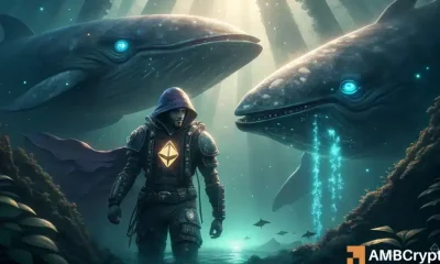 ¿Ethereum está en caja por debajo de $ 4K, estratégicamente, por las ballenas?