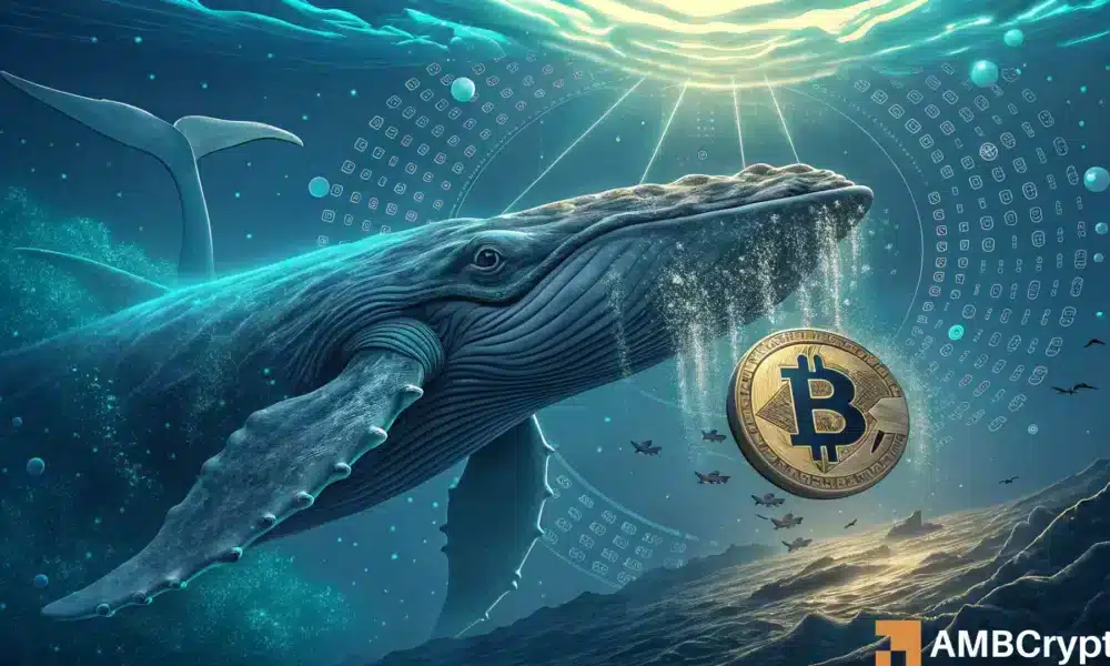 Bitcoin - $ 8.69B en BTC movido: ¿Por qué esta acción de ballena plantea preguntas?