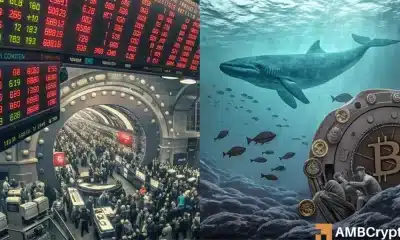 Bitcoin: Inundaciones minoristas, pero es un silencio de ballena que debes ver