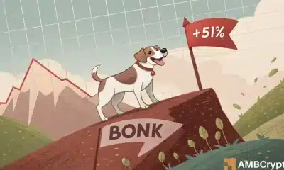 Bonk News: He aquí por qué una caída a corto plazo no detendrá su rally del 51%