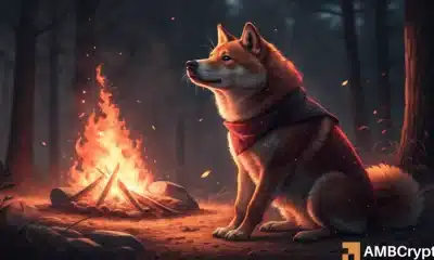 La tasa de quemaduras de Shiba Inu explota el 65,141%: ¿finalmente viene una ruptura de SHIB?
