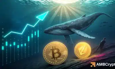 De Bitcoin a Ethereum: cómo la apuesta de $ 2.6B de una ballena sacudió el mercado