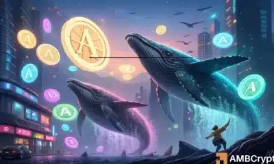 AAVE cae un 11% – ¿Se mantendrán los 202 dólares en medio de la descarga de ballenas por 35,5 millones de dólares?