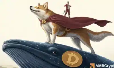 Dogecoin's Q4: Whales Stack, Fomo Holds y Etf Dream se hacen realidad