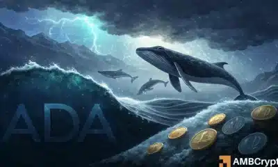 ¿El precio de ADA volverá a estar en forma después de que las ballenas Cardano 'compren el baño'?