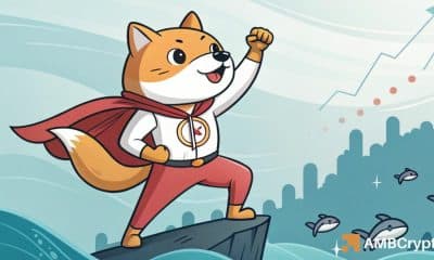 Alerta de ballena DOGE de $ 25 millones: ¿Puede ESTA zona crucial provocar un repunte de Dogecoin?
