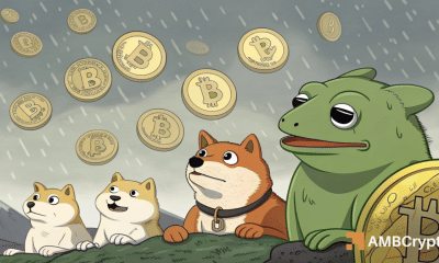 ¿Se acabó el frenesí de las memecoins? Esto es lo que dicen los datos